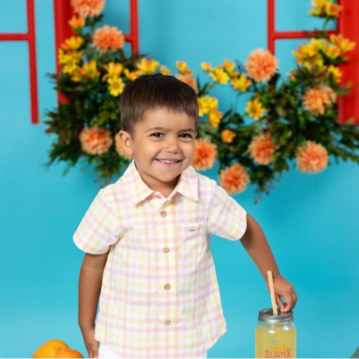 Pastel Gingham Shirt & White Shorts