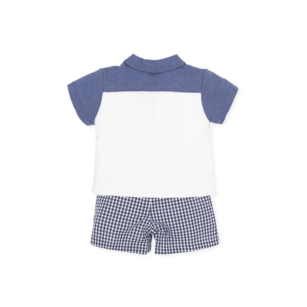Blue & White Gingham Top & Shorts Back