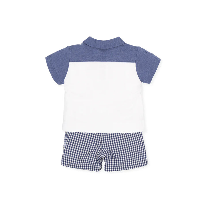 Blue & White Gingham Top & Shorts Back