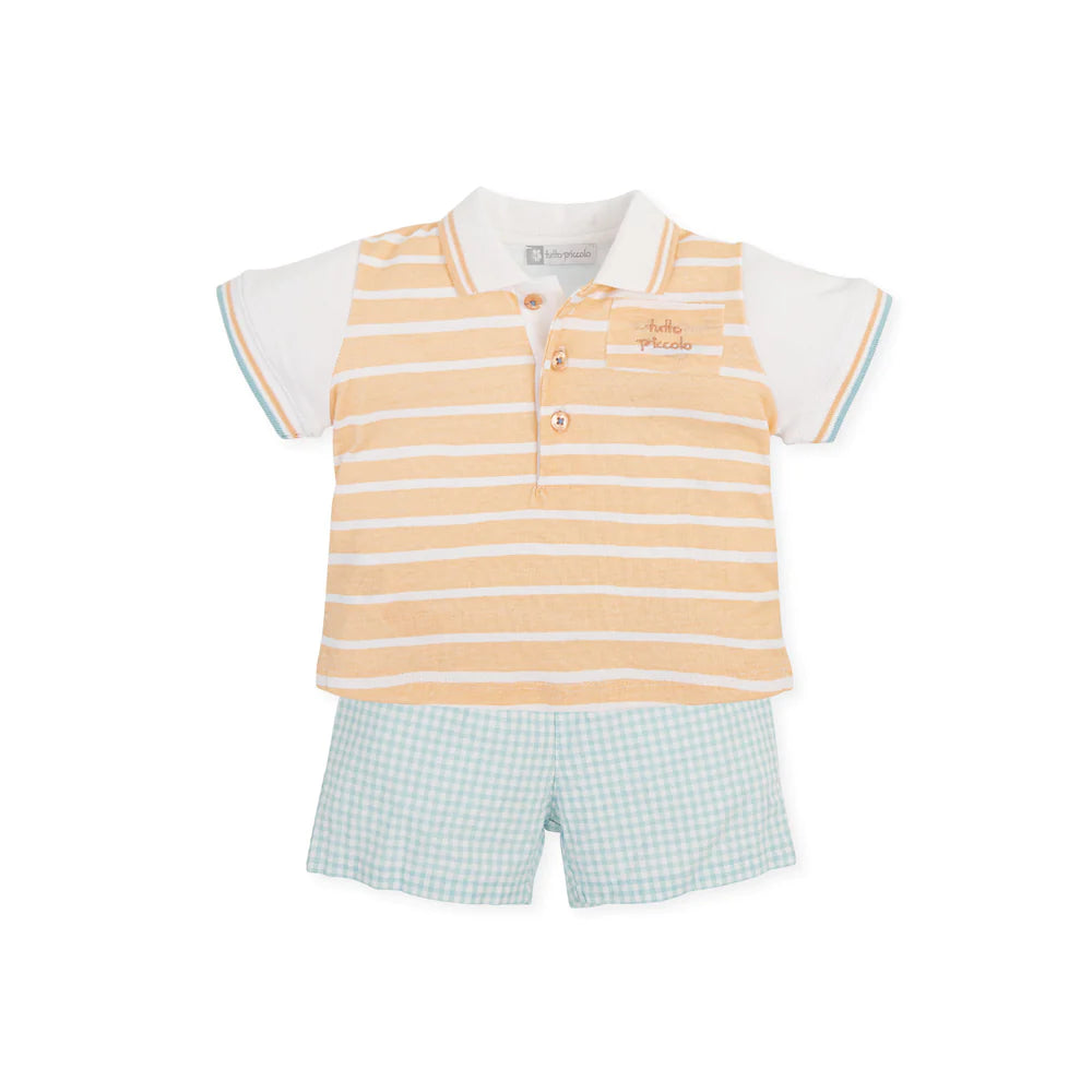 Peach & Mint Gingham Top & Shorts