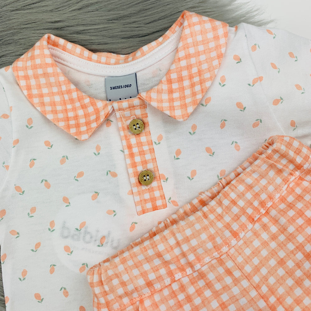 Orange & White Gingham Shorts & Polo Shirt Set Close