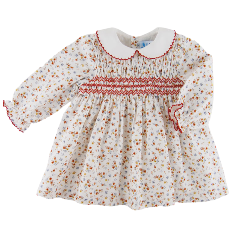 Long sleeve smocked dress baby deals