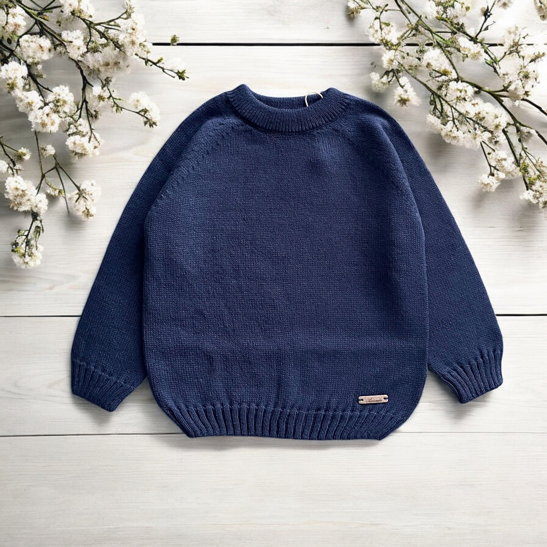 Martin Aranda Navy Knit Jumper