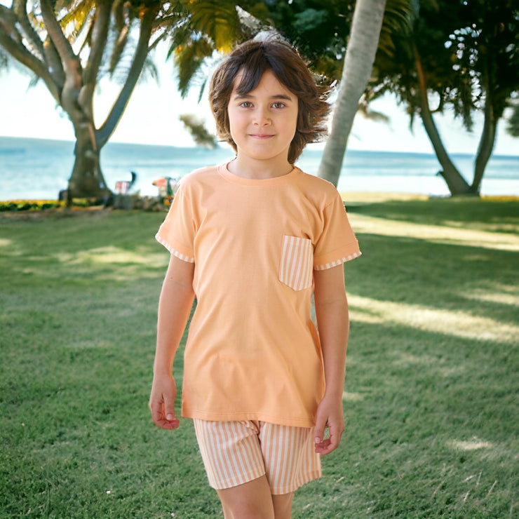 Orange T Shirt & Candy Stripe Shorts