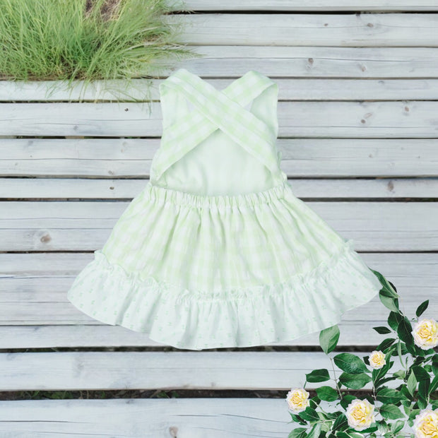 Apple Green & White Gingham Dress Back