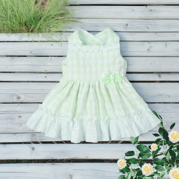 Apple Green & White Gingham Dress