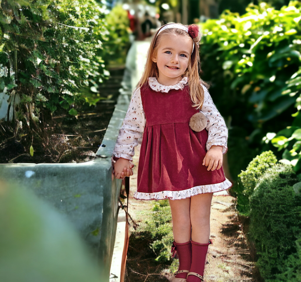 Burgundy Pinefore Dress & Blouse