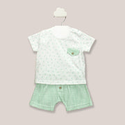 Green White Gingham Shorts & T Shirt Set