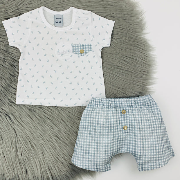 Bluish Grey & White Gingham Shorts & T Shirt Set