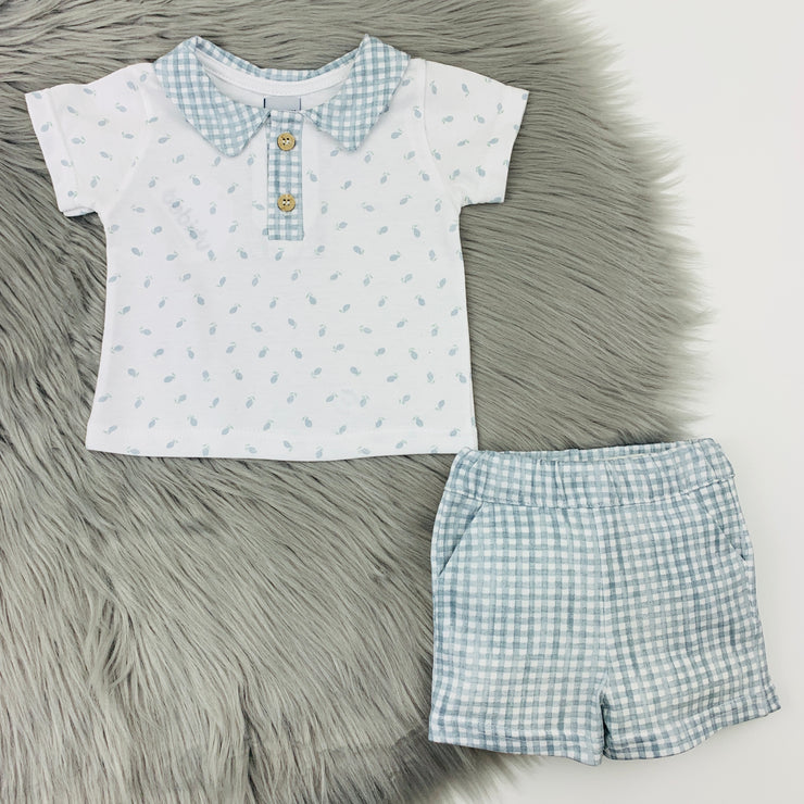 Bluish Grey & White Gingham Shorts & Polo Shirt Set