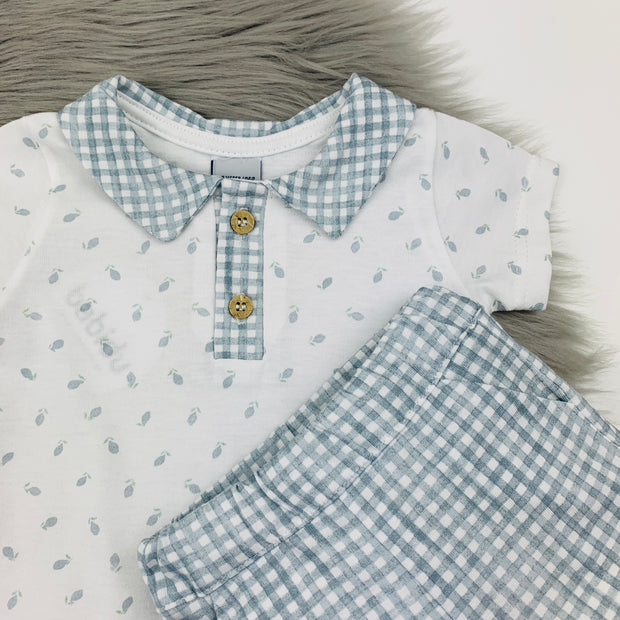 Bluish Grey & White Gingham Shorts & Polo Shirt Close