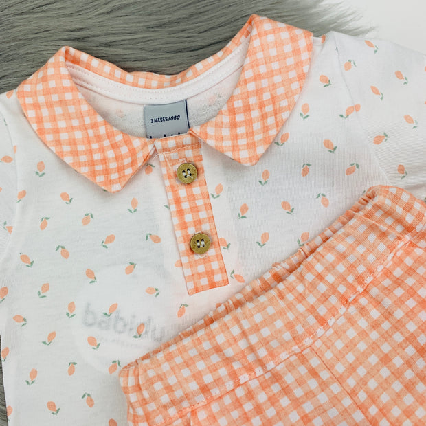 Orange & White Gingham Shorts & Polo Shirt Set Close